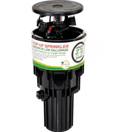 2677 Popup Spink Daye